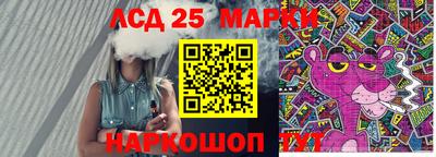 гидра Славгород
