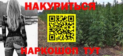 гидра Славгород