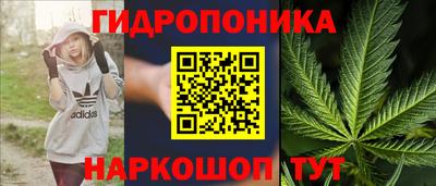 гидра Славгород