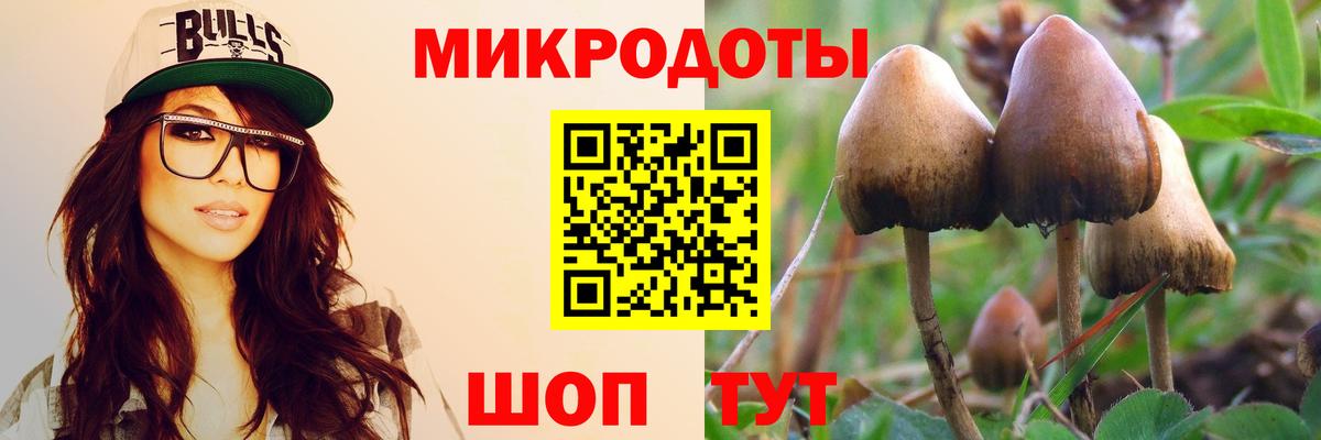 Орёл  Псилоцибиновые грибы MAGIC MUSHROOMS  дарнет шоп  Вход с VPN 