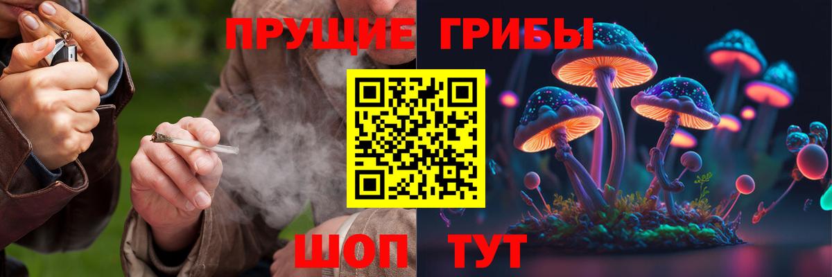 Галлюциногенные грибы Psilocybe Орёл